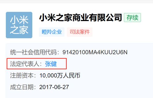 小米之家迎来新掌门 张健接任，软硬件协同战略或将深化